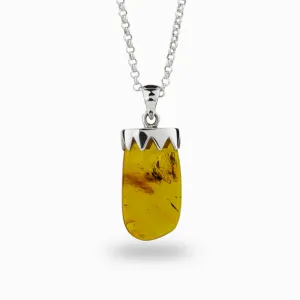 Amber with Insect Necklace