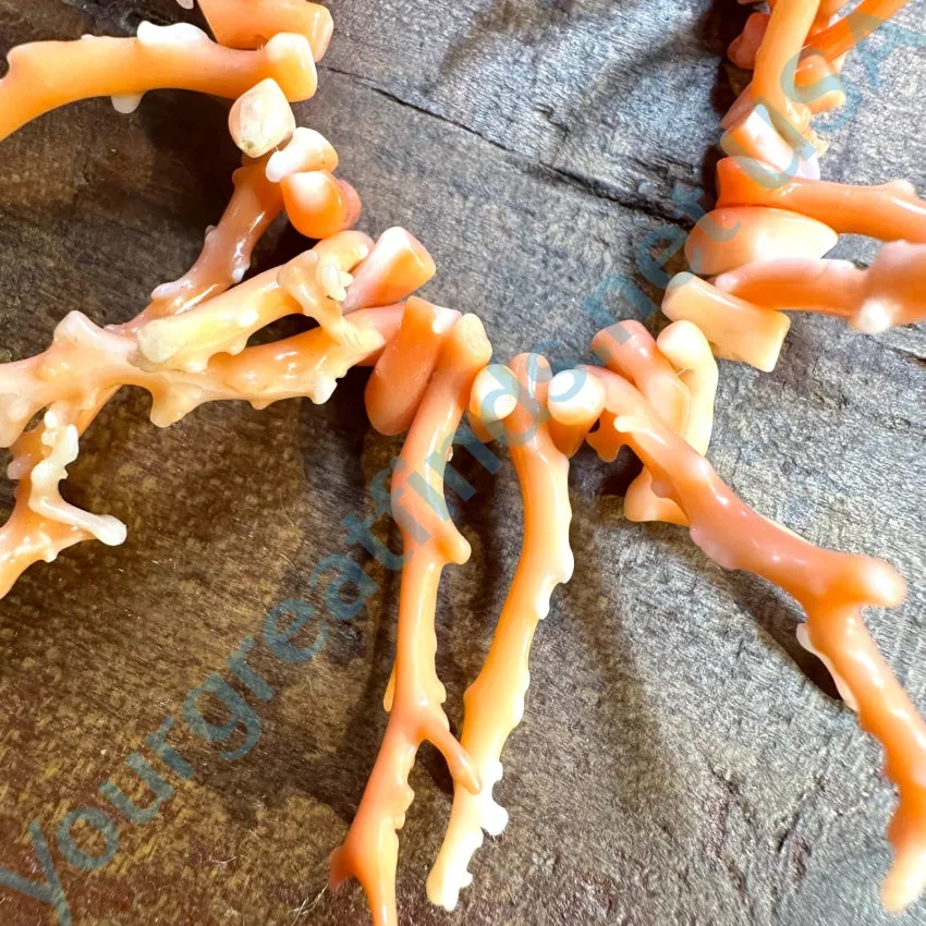 Rustic Vintage Salmon Branch C0ral Necklace 17”